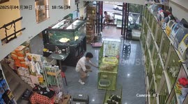 Pet shop owner struggles to stop kittens escaping form cage