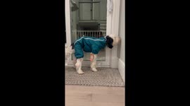So We Got Bentley a New Snow Suit...