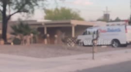 Deer Herd Gathers In Rocky Arizona Front Yard