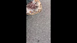 Driver assists deaf-mute man in putting out burning tricycle in Shandong, China