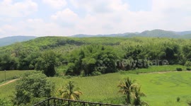 Liverpool fans in Thailand celebrate team's Premier League victory