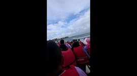 Eight passengers killed when boat capsizes in Indonesia