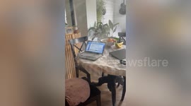 Terrifying moment laptop spontaneously catches fire at home