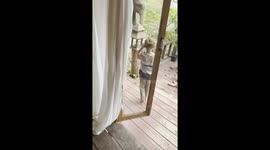 Family open porch to have breakfast with elephants at sanctuary