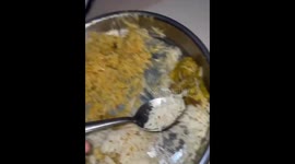 Parrot prefers curry rice over plain rice in Ratlam, Madhya Pradesh, India