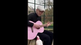 Parrots gather to enjoy guitar performance in Saint-Aignan, France