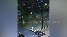 Hero cat fly kicks stray dog attacking friend and chases him away