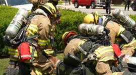 US, Los Angeles: Glendale 3 Dogs Dead Following Apartment Fire