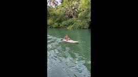 Paddle boarding tourist takes a tumble into river