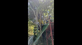 Rope swing fails with epic belly flop into lagoon