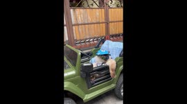Cool cat dons shades to ride 'dream car' on his birthday