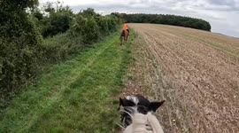 Epic fail: Gentle canter becomes chaotic as horse gets spooked unexpectedly
