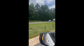Kangaroo on the Interstate in Auburn, Alabama