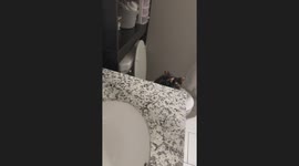 Cat Teaches Itself Toileting Trick