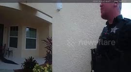 US: Alligator Brawl With Lawn Chair Ends In Embarrassing Defeat