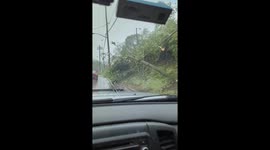 Pittsburgh Wind Storm Aftermath