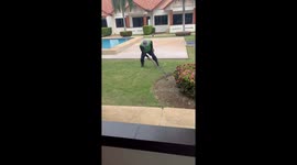 Pest controller toys with snake caught inside luxury resort