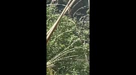 Two pilot missing as plane crashes into lake in Japan