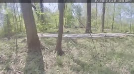 Police officer saves kayaker stranded in river in Michigan