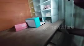 Huge python spotted curled up in shoe rack at home in Thailand