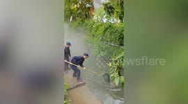 Moment deer rescued after falling into a river