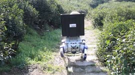 China: China expands robot application scenarios