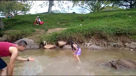 Woman's attempt to get her purse leads to an unexpected splash in water