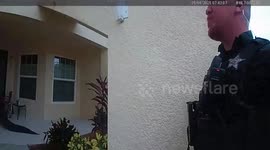 Police catch alligator attacking chair on family's front porch