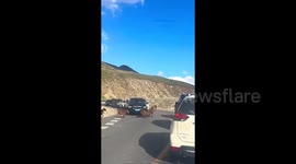 Sheep jumps over 'invisible object' - rest of herd follow suit