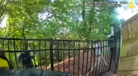 Georgia Officer Lifts Stuck Deer to Safety From Fence