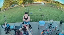 Chubby French Bulldog Is Eager To Play Fetch