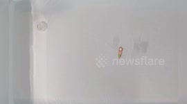 Biodegradable robot boat can study water conditions without adding to pollution