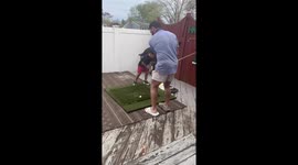 Playing Golf With Tuna the Dog