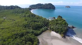 Costa Rica: Joint efforts to restore coral underway