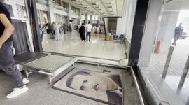 Syria: Syrian pilgrims depart for Islam's holy sites for first time after fall of Assad regime