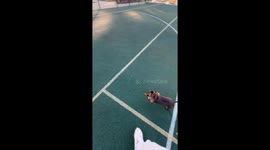 Scoring Goals on Bruno
