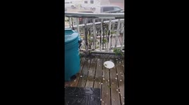 US: Large Hail Reported as Severe Storm Moves Through Dallas-Fort Worth Area