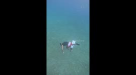 Free diver 'surfs' on his fin above the seabed