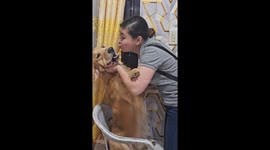 Yuk, human breath! Pet dog refuses to be kissed by owner's sister