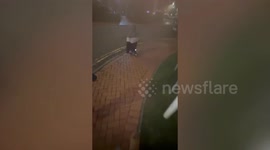 Woman captures moment bird poops on her face