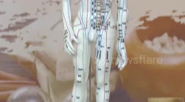 Senegal: Chinese medical mission in Senegal provides training in traditional Chinese medicine