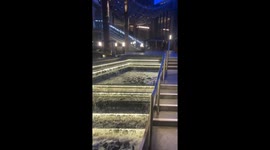 BMX rider's bold fountain stunt ends in a painful fall after misjudging ledge width