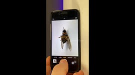 How to enhance your phone's camera focus