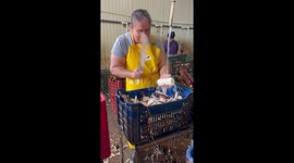 Worker shows expert cassava peeling skills in San Carlos, Costa Rica