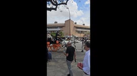 Runaway carriage crashes into tree during Feria de Abril in Seville, Spain