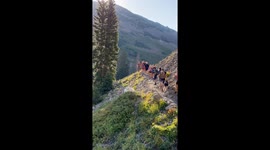 Mountain Goat Charges Hiking Dog That Gets Too Close