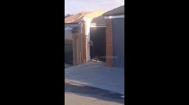 Dog squeezes through gate to reach owner in Johannesburg, South Africa