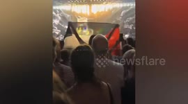 Palestine supporter holds flag during Israel's Eurovision performance