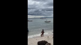 Pet dog shows off skimboarding skills at beach
