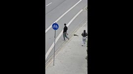 Citizens help duck family cross busy road in Regensburg, Germany